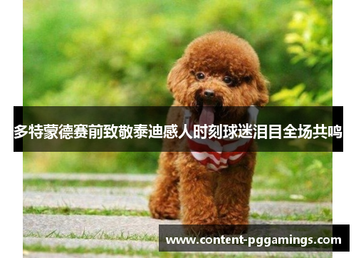 多特蒙德赛前致敬泰迪感人时刻球迷泪目全场共鸣