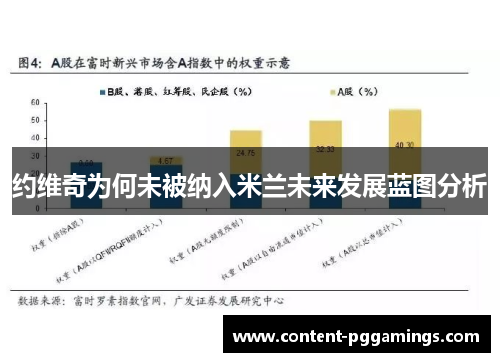 约维奇为何未被纳入米兰未来发展蓝图分析