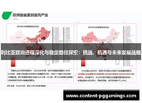 利比亚政治进程深化与稳定路径探索：挑战、机遇与未来发展战略