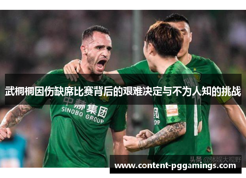 武桐桐因伤缺席比赛背后的艰难决定与不为人知的挑战