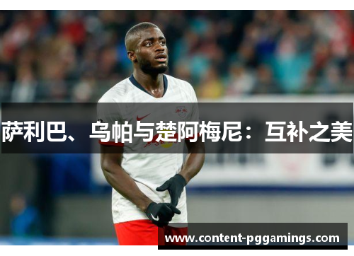 萨利巴、乌帕与楚阿梅尼：互补之美