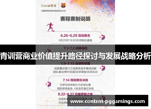 青训营商业价值提升路径探讨与发展战略分析