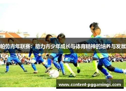 帕劳青年联赛：助力青少年成长与体育精神的培养与发展