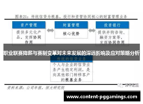 职业联赛降薪与赛制变革对未来发展的深远影响及应对策略分析